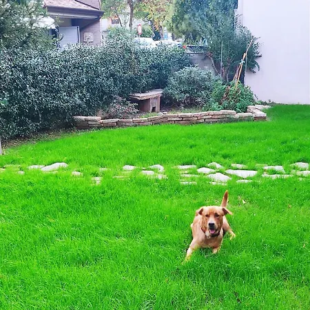 Valle Rubicone * Gatteo