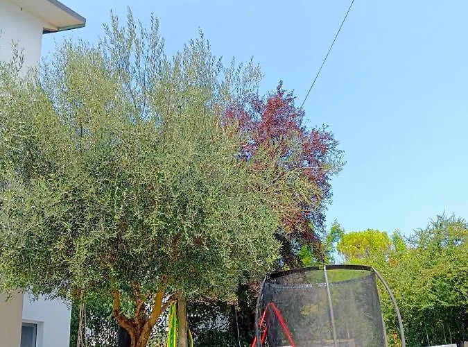 Country house Valle Rubicone *