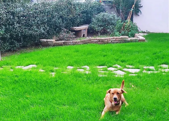 Valle Rubicone * Gatteo